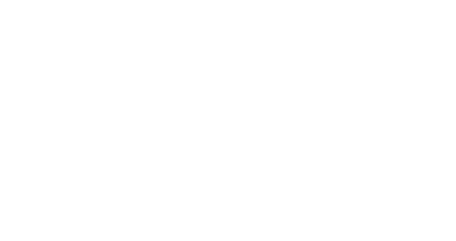 WebPT