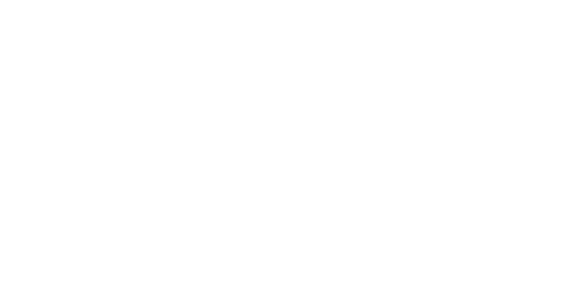 Opal Security